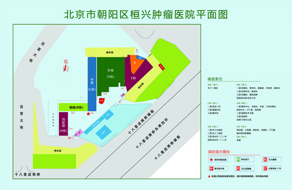 免费艹B视频北京市朝阳区桓兴肿瘤医院平面图